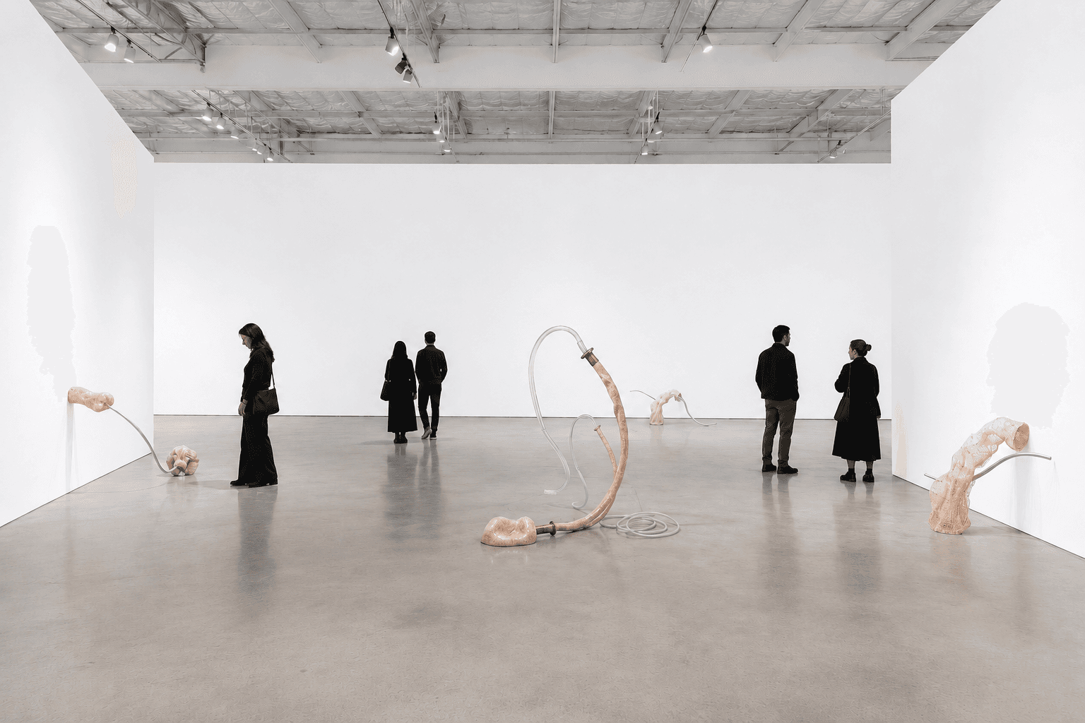 Contemporary exhibition installation view